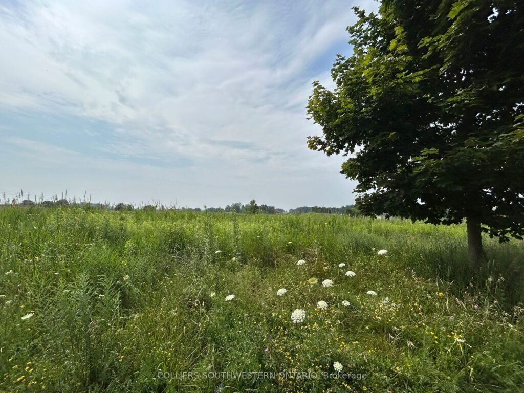 For Sale: 2947 Bateman Trail, London South, ON N6L 0A6, London South, ON - Property Photo